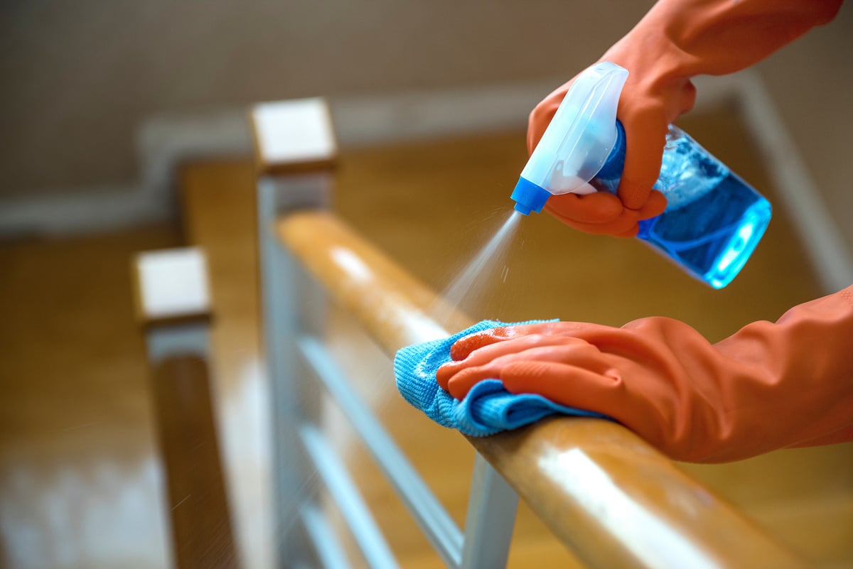 Housekeeper Cleaning at Home