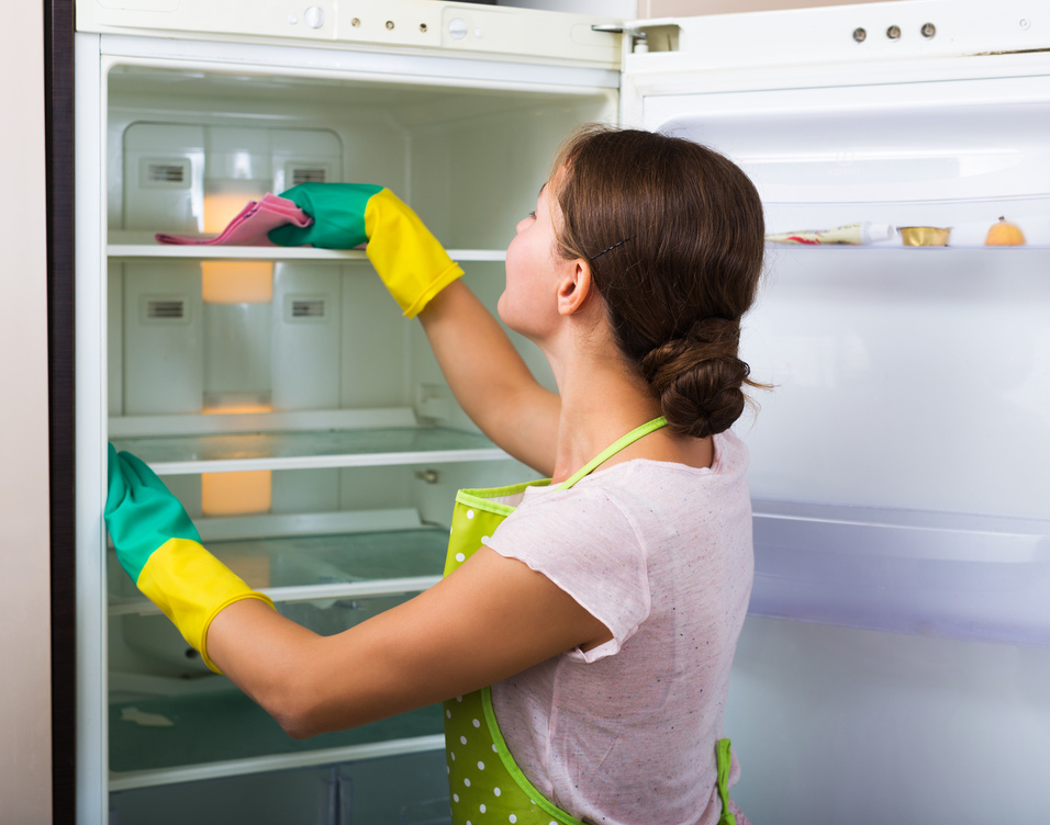 Homemaker Cleaning Refrigerator 